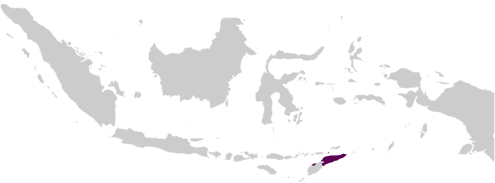 Map of Timor Leste