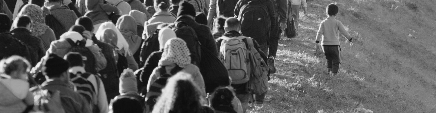 Briefing Paper: Migration, Peace and Security Nexus