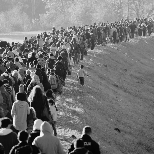 migration