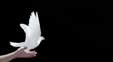 Peace 