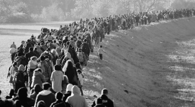 Migration